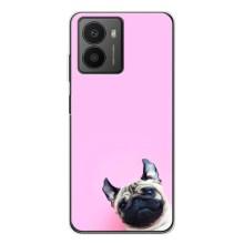 Чехлы с собаками для HMD Fusion (VPrint)