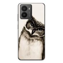 Чохол з пташками на HMD Fusion (VPrint) (Сова)
