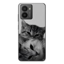 Чехол с рисунком кот на HMD Fusion (Пара котов)
