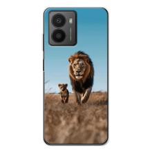 Чохол Король лев на Ф'южин (Мусафа і Сімба)