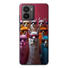 Чехол с принтом стильные животные для Ф'южин (Ламы в очках)