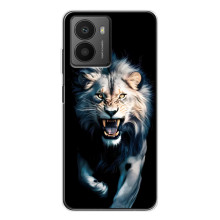 Чохол з картинкою 'Хижаки' для HMD Fusion – Лев