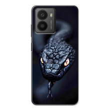 Чохол з картинкою 'Хижаки' для HMD Fusion – Змія