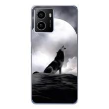 Чехол с Волком на HMD Pulse Plus – Волк и луна