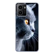 Чехлы с Котиками для HMD Pulse (VPrint) (Серый Кот)