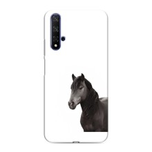 Чехлы с Лошадью дляHuawei Honor 20 (VPrint) (Черный Конь)