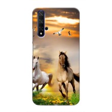 Чехлы с Лошадью дляHuawei Honor 20 (VPrint) (Лошадки)