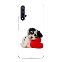 Чохли з собаками для Huawei Honor 20 (VPrint) (Песик)