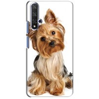 Чехол (ТПУ) Милые собачки для Huawei Honor 20 (Собака Терьер)