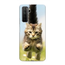 Чохли з Котиками для Honor 30s (VPrint) (Прижок кота)