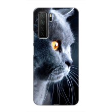 Чохли з Котиками для Honor 30s (VPrint) (Сірий Кіт)