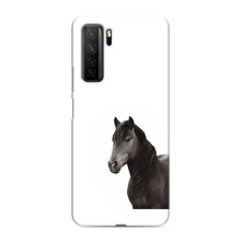 Чехлы с Лошадью дляHonor 30s (VPrint) (Чорний кінь)