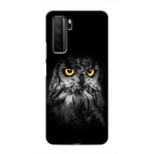 Чохли з принтом СОВИ для Honor 30s – Сова на чорному