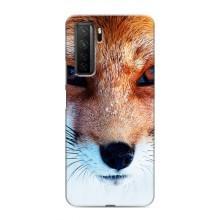 Чехол с Лисичкой для Honor 30s – Рыжая Лисичка