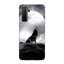 Чехол с Волком на Honor 30s – Волк и луна