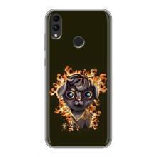 Чехлы на военную тематику для Huawei Honor 8C – Бавовна мем