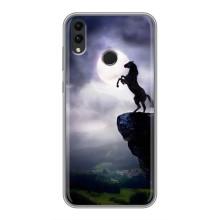 Чехлы с изображением разных животных для Huawei Honor 8C (Лошадь)
