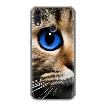 Чохли з Котиками для Huawei Honor 8C (VPrint) (Око кота)
