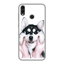 Чохли з собаками для Huawei Honor 8C (VPrint) (Радісний Хаскі)
