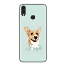 Чохли з собаками для Huawei Honor 8C (VPrint) (Коргі)