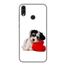 Чохли з собаками для Huawei Honor 8C (VPrint) (Песик)