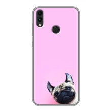 Чохли з собаками для Huawei Honor 8C (VPrint) (Смішна собака)