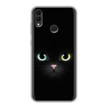 Чохол на тематику: Коти для Huawei Honor 8C – Чорний Котик
