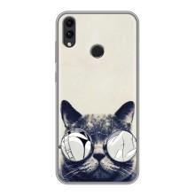 Чохол на тематику: Коти для Huawei Honor 8C – Модний кіт