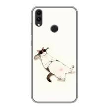 Чохол на тематику: Коти для Huawei Honor 8C – Відпочинок