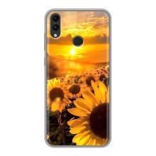 Чехол с Цветами для Huawei Honor 8C – поле подсолнухов