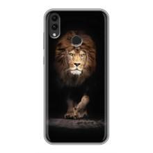 Чохол з картинкою на Huawei Honor 8C – Гарний Лев