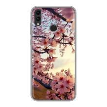 Чохол з картинкою Сакури на Huawei Honor 8C – Квітуча сакура