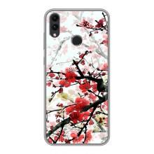 Чохол з картинкою Сакури на Huawei Honor 8C – Гарна Сакура