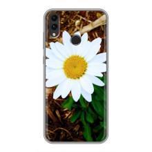 Чохол з ромашками на Huawei Honor 8C – Біла ромашка