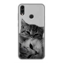Чохол з малюнком кіт на Huawei Honor 8C – Пара котів
