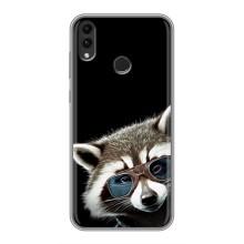 Силиконовый Чехол с Енотами на Huawei Honor 8C – Стильный Енот