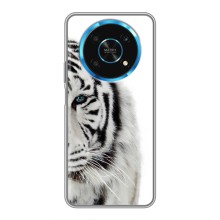 Чехлы с картинками животных Huawei Honor Magic 5 Lite 5G (Белый Тигр)