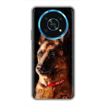 Чехлы с картинками животных Huawei Honor Magic 5 Lite 5G (Овчарка)