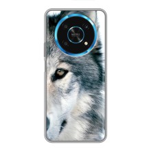 Чехлы с картинками животных Huawei Honor Magic 5 Lite 5G (Волк)