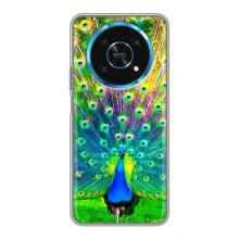 Чехол с птицами на Huawei Honor Magic 5 Lite 5G (VPrint) (Яркий Павлин)