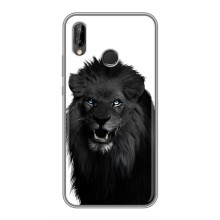 Чохли з картинкою животних Huawei Honor 10 Lite