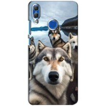 Чехол с Хаски для Huawei Honor 10 Lite - (AlphaPrint) (Селфи ХАски)
