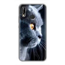 Чехлы с Котиками для Huawei Honor 10 Lite (VPrint) – Серый Кот