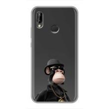 Чехлы с Обезьянами NFT для Huawei Honor 10 Lite (AlphaPrint) – Обезьяна NFT