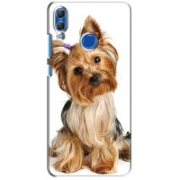 Чехол (ТПУ) Милые собачки для Huawei Honor 10 Lite (Собака Терьер)