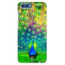 Чохол з пташками на Huawei Honor 10, COL-Al00 (VPrint) (Яскравий Павлин)