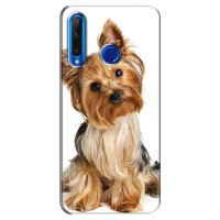 Чехол (ТПУ) Милые собачки для Huawei Honor 10i (Собака Терьер)