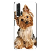 Чехол (ТПУ) Милые собачки для Huawei Honor 20 Pro – Собака Терьер