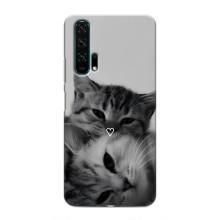 Чехол с рисунком кот на Huawei Honor 20 Pro – Пара котов