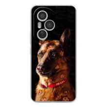 Чехлы с картинками животных Huawei Honor 400 Pro (Овчарка)